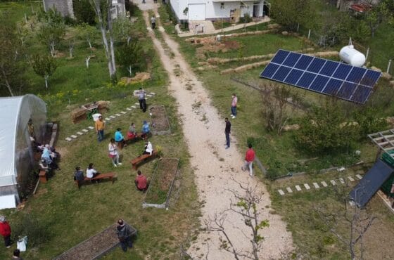 3PEAS – Workshop on social permaculture