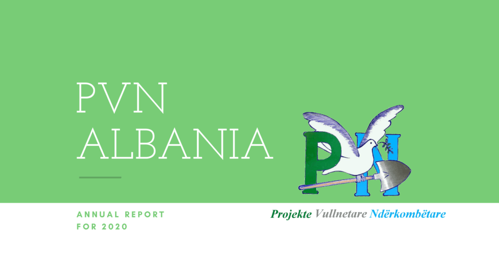 Annual report for 2020 1 1