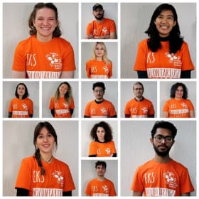 Call for Applications: ESC project “Social Wizards”