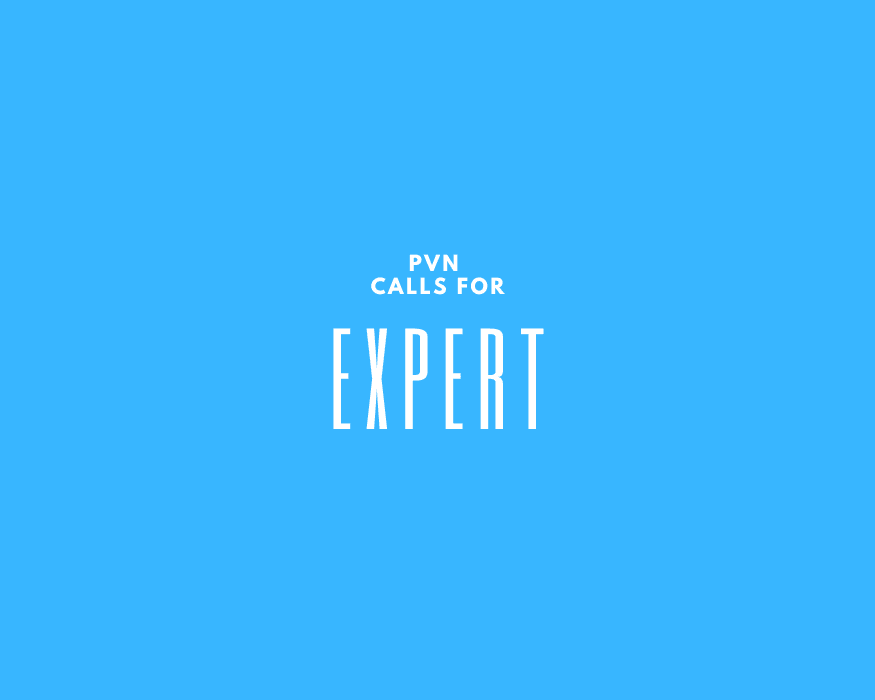 Expert